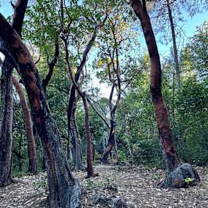 Castle Rock Trail Camp
