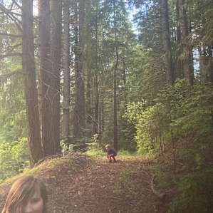 Near the cabin