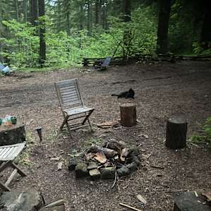 In front of the cabin