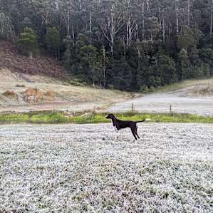 Central Coast Valley Farm Stay