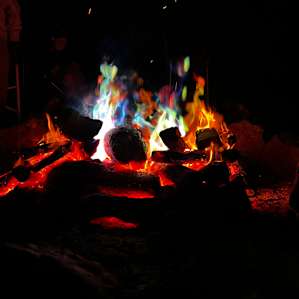Orchard & Pine Trees Camping