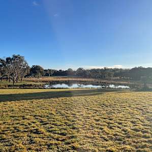 Woke to this sunny day on our last morning