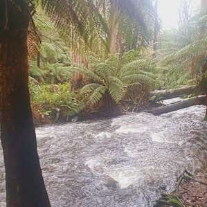 Yarra Valley Rustic Farm Stay