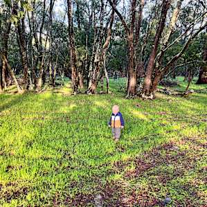 Perron Estate Camping