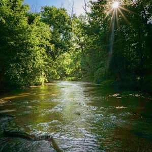 Camp Creek Side