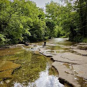 Camp Creek Side