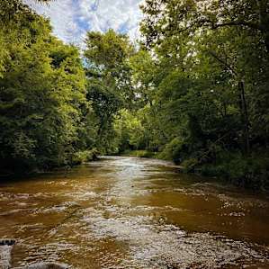 Camp Creek Side