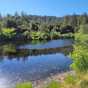 Angeles Crest Skoolie