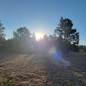 My last morning there.