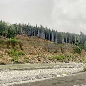 Hoh River Campsites