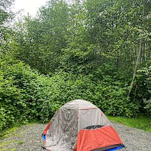 Hoh River Campsites