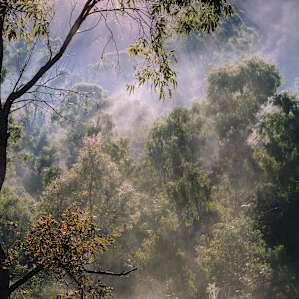 'Jagala' Secluded Sites