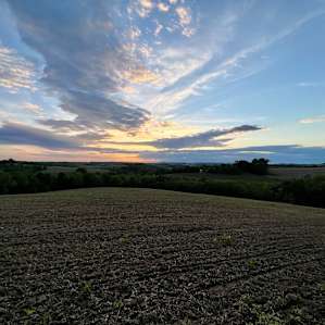 Gorgeous sunset from the same field as the day shot.