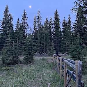 Sunberry Meadows