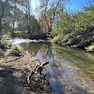 Riverrock, Bucketts Mountains