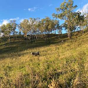 Monal Park Farm Retreat