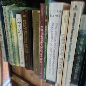 Beech Hollow Hideout