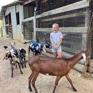Heading to the farm was the highlight of each day.