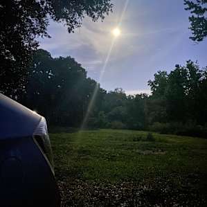 This was the almost full moon, so bright it looks like a sun. Everything is so lush at this camping spot, nice to hear a symphony of frogs and crickets.