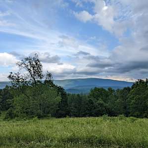 The view