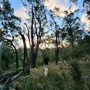 Secluded Bush Camping!