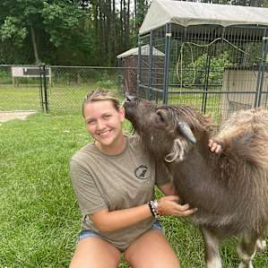 Primitive Camping at Thompson Farm