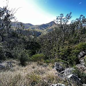 Nice places to bush walk