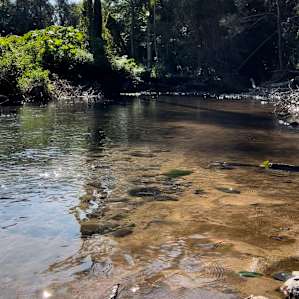 Crystal clear creek