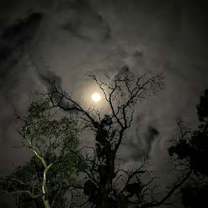 Wombat Creek Camp