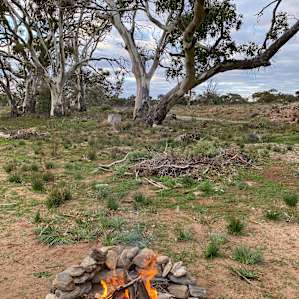 Wombat Creek Camp