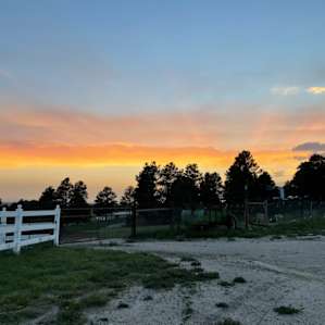 RVing with Goats and Alpacas