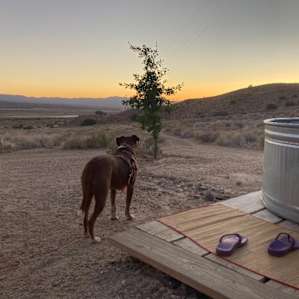 Molly looking down the canyon to the southwest just after sunset.