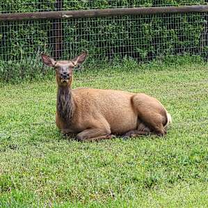 Sportsman's Retreat RV Sites