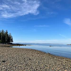 Search for shells at low tide