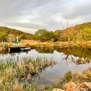 Peaceful pond