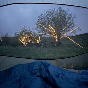 Love the little touches, like lights on the trees!
