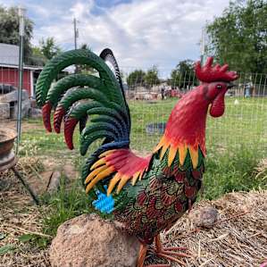 Rex & Cate's Hobby Farm