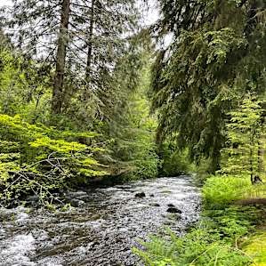 River view from site 7