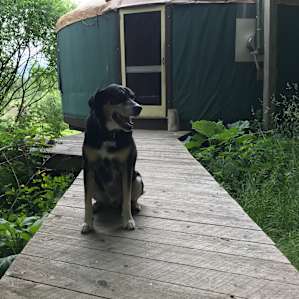 Lucky loved it too!