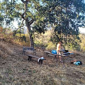 Social Distance Near Sequoia NP
