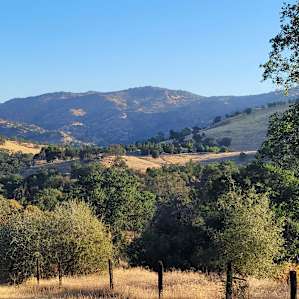 Social Distance Near Sequoia NP