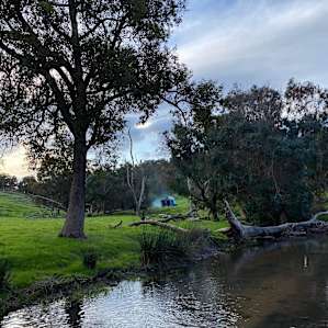 Campsite