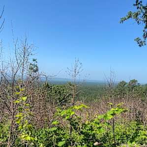 Ouachita River Primitive Camping