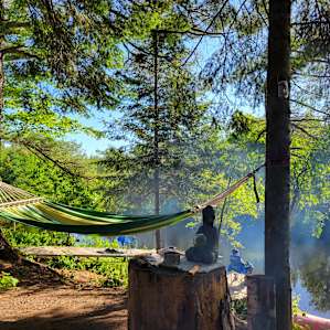 Eagle Pines On The Bad River