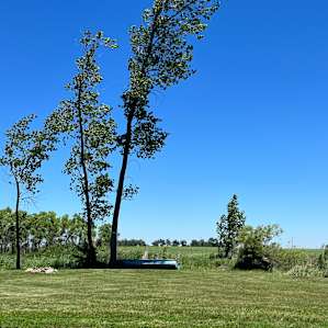 Uncle B's Farm