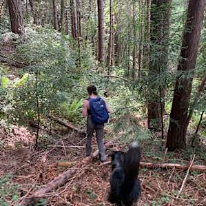 Hiking the old logging trails surrounding the property