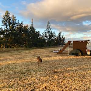 River Beach Camp (4WD Access)