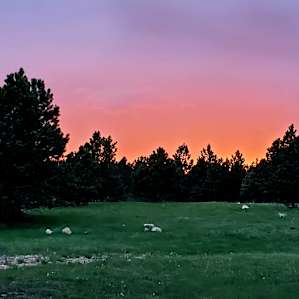 From the camp site