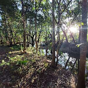 A Place to Call Home