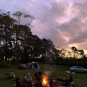 Orchard & Pine Trees Camping